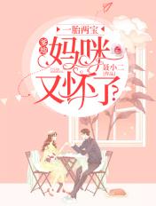 一胎二宝爹地妈咪又怀